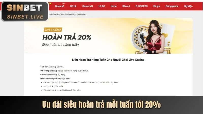 Người dùng truy cập thành công vào bảng điều khiển bj72